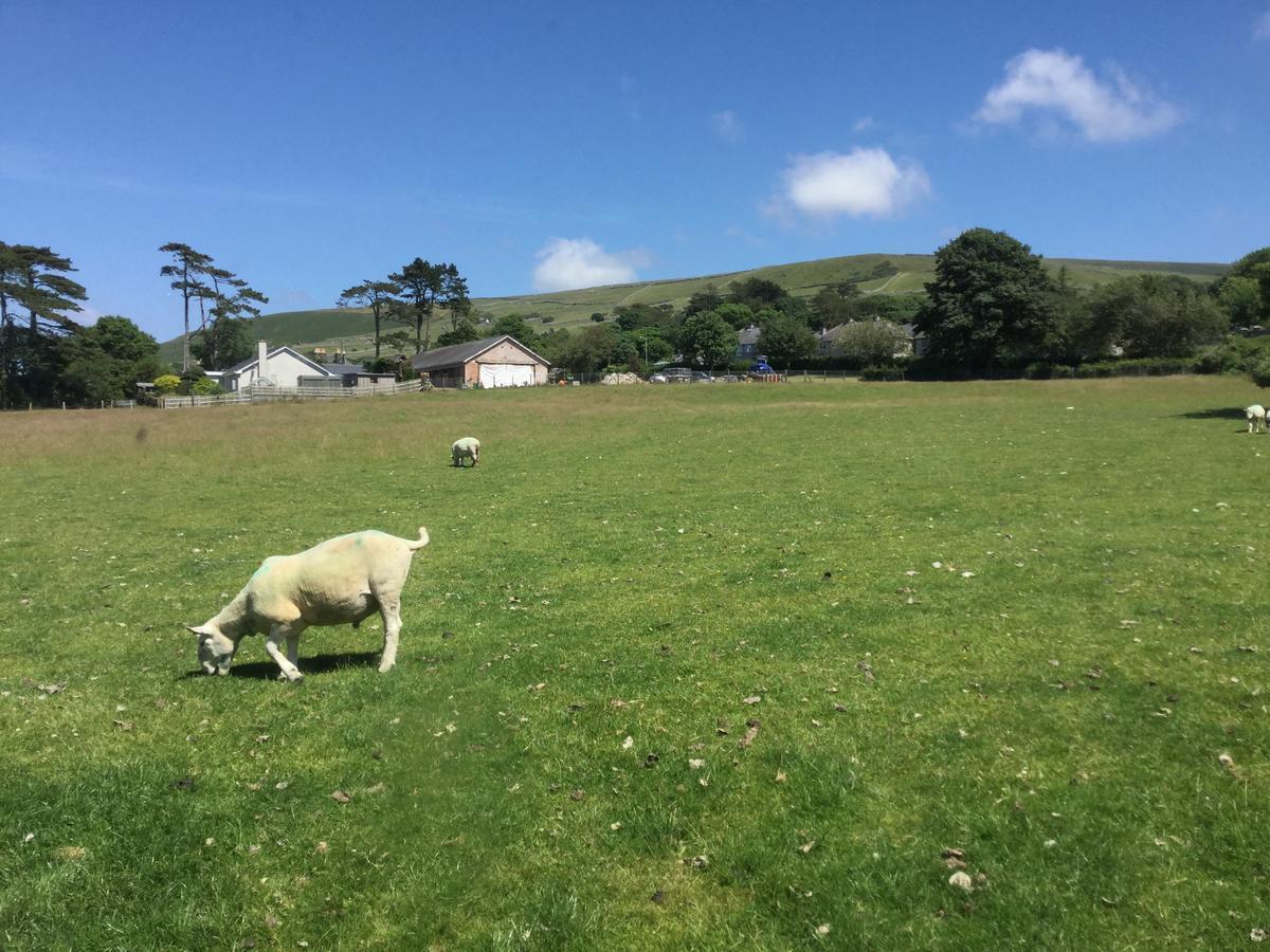 Plas Y Nant Llwyngwril Экстерьер фото